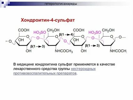 Хондроитин сульфат биологическая роль