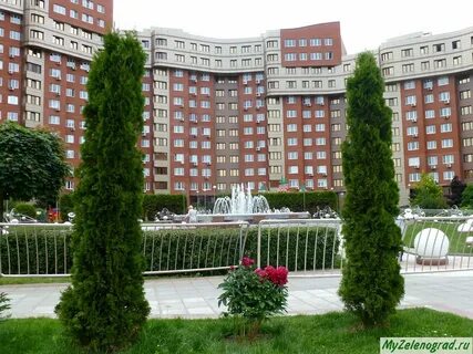 По часам зеленограде