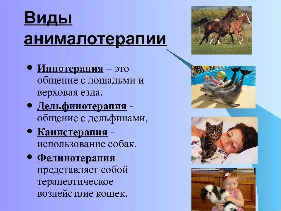 Применение животных. Виды анималотерапии. анималотерапия презентация. влияние домашних животных на человека. положительное влияние домашних животных на человека.