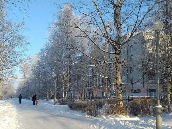 Белая аллея архангельск. Архангельск улица дружбы фото. дружбы 10 в архангельске. фото октябрьского проспекта троице.