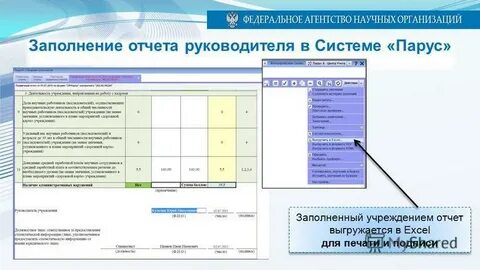 Отчет оо