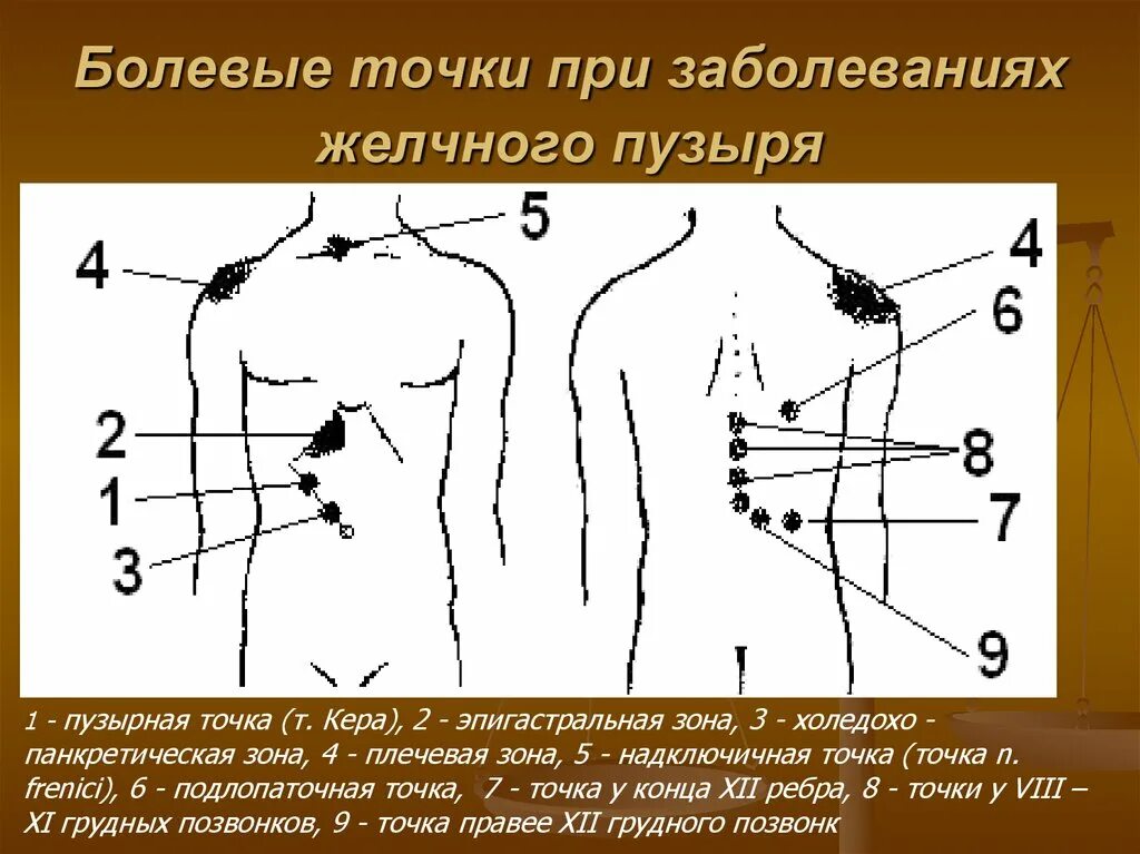 Точки перкуссии желчного пузыря. Болезненные точки при патологии печени и жёлчного пузыря. Болевые точки желчного пузыря. Точка проекции желчного пузыря.