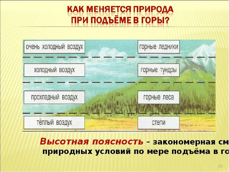 Как сменяются природные зоны. Как меняется природа в горах. Зона ВЫСОТНОЙ поясности России 4 класс. Природные зоны гор.