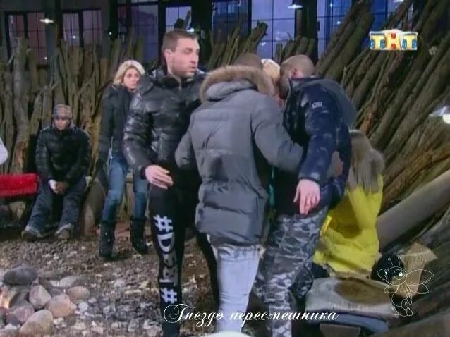 Драка гусевых