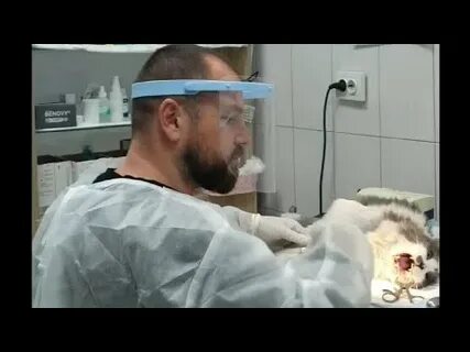 Канал доктор василия