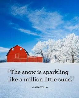 These are snow