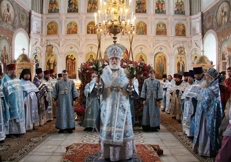 Церковь в Стрелецкие Выселки. Стрелецко Высельский Никольский храм. Стрелецкие Выселки Михайловского района Рязанской области.