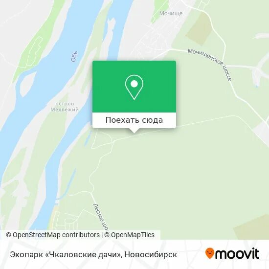Еще один открытый бассейн появился в Новосибирске - в экопарке "Чкаловские дачи"
