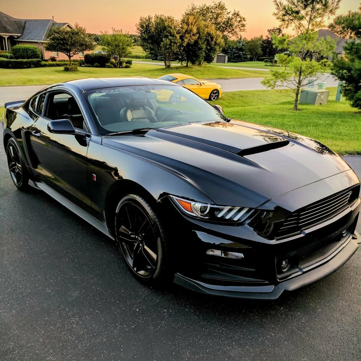 Мустанг сколько рублей. Форд Мустанг 2015. Ford Mustang 2015. Новый Форд Мустанг 2015. Мустанг 8.