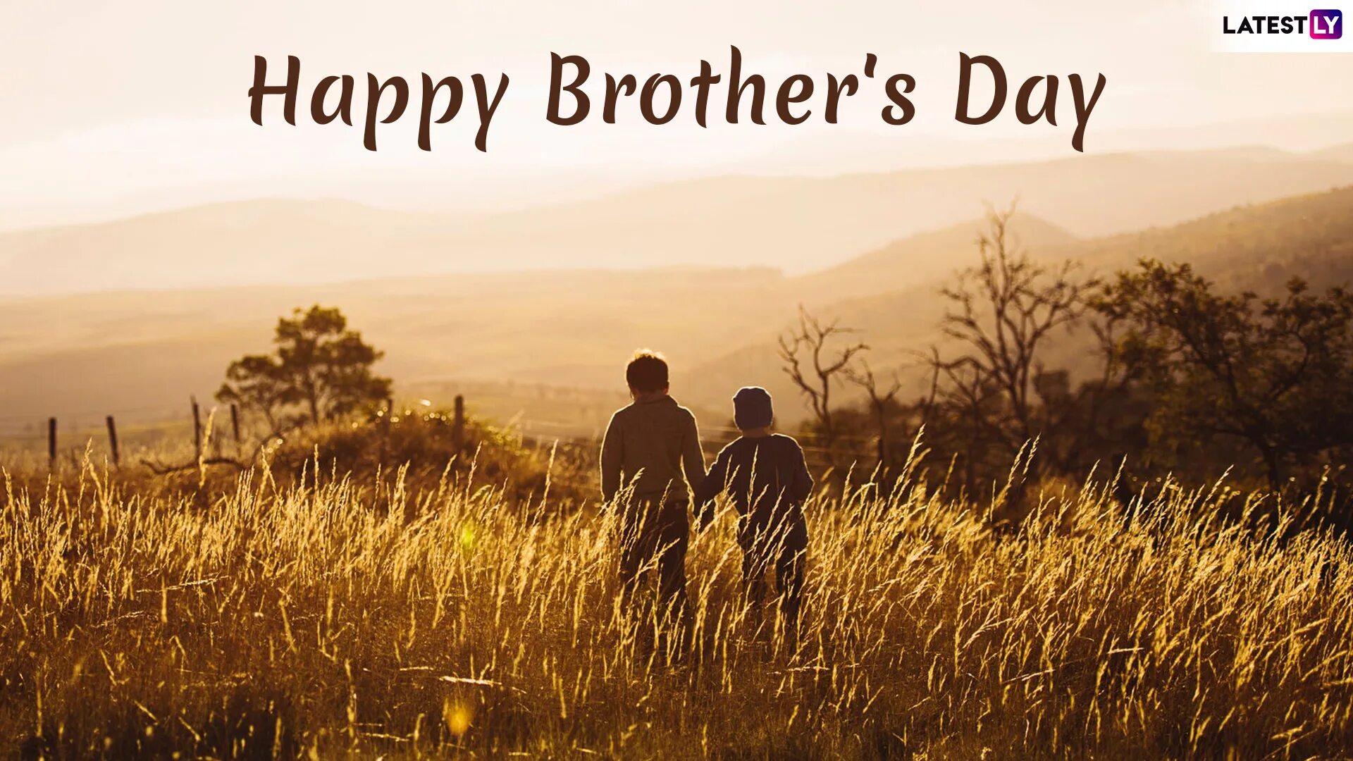 Brother s game. Brother Day. Лес взаимовыручка братья обои. Обои на ватсап для брата. Обои для братьев горизонтально.
