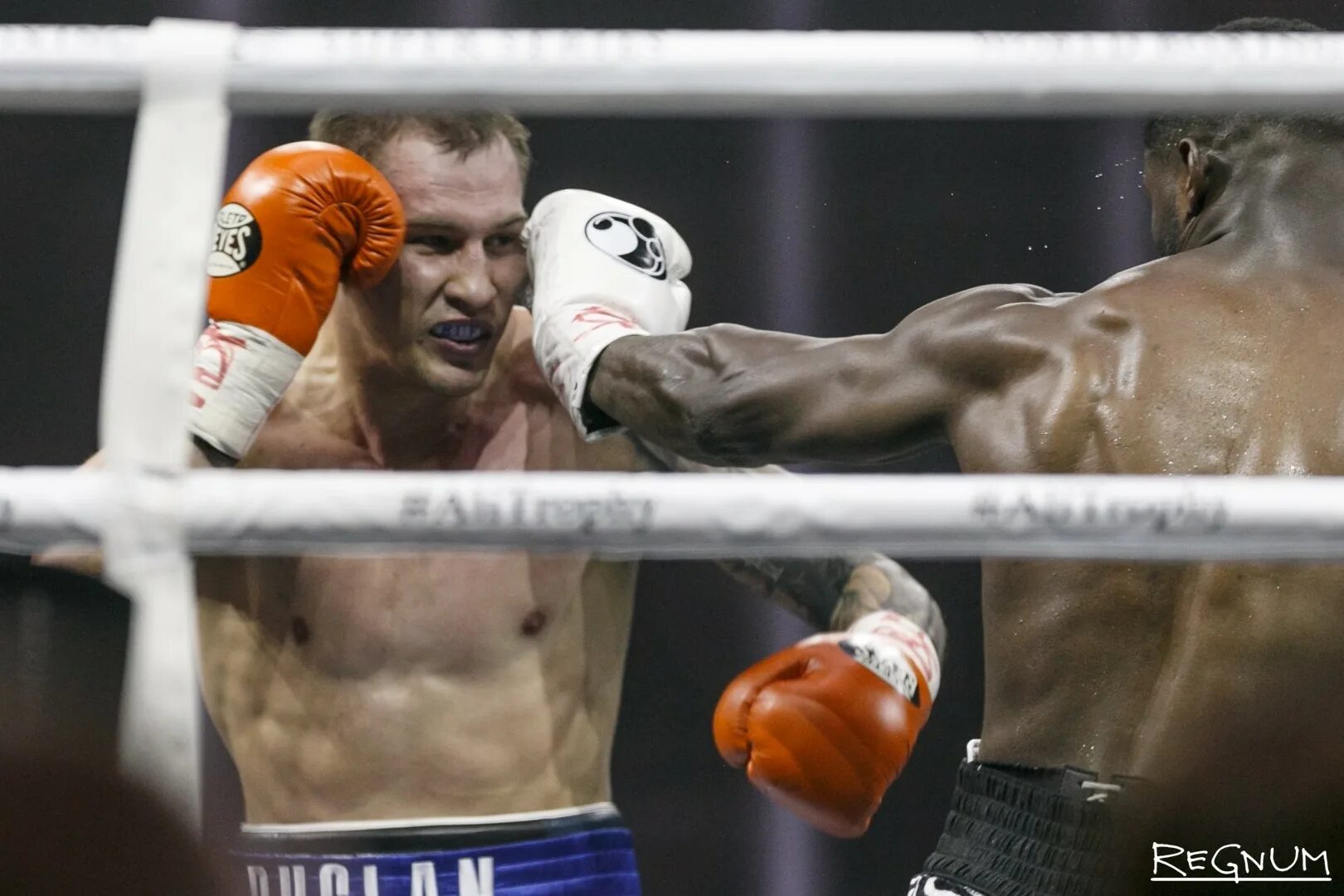 артем колчин. денис никифоров бой с тенью. татуировки артема колчина. колчин тату бой с тенью 3. артем.