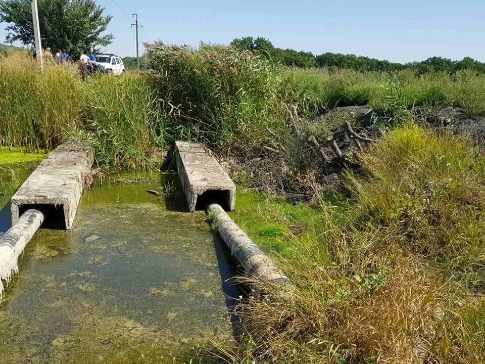 Речка перегорожена наполненная чашка сосредоточенный. Полузапруды. Плотина перекрыла реку. Искусственное перекрытая река. Выправление русел рек.