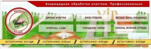 Чем обработать весной от клещей