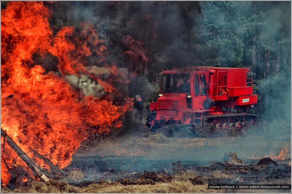 Техника используемая при тушении пожаров. Пожарный трактор ЧЕТРА Форест. Трактор рубеж 4000 лесопожарный. Лесопожарный агрегат алп-15. Машина для тушения лесных пожаров.