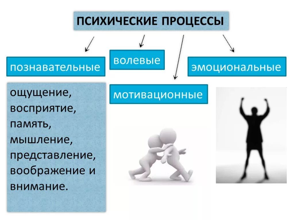 Психические процессы. Биопсихические процессы. Психические процессы в психологии. Психические процессы Познавательные эмоциональные волевые.