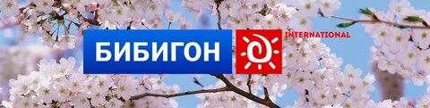 Почему закрыли канал бибигон