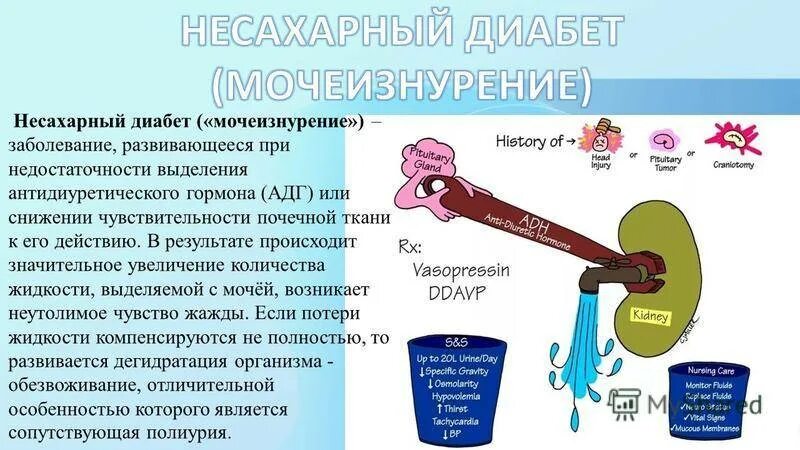 Ренальный несахарный диабет патогенез. Антидиуретический гормон несахарный диабет. Несахарный диабет механизм развития. Нефрогенный несахарный диабет клиника. Несахарный диабет развивается в результате