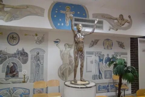 Кгма анатомия