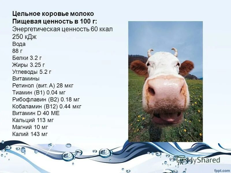 показатели пищевой ценности молока это. молоко пищевая ценность в 100г. пищевая ценность молока в 100 г. пищевая ценность молока и молочных продуктов таблица. пищевая ценность молочных продуктов.