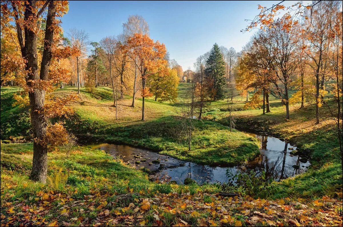 золотая осень в нижнем новгороде. река клязьма в коврове. осень выдалась. великий новгород природа. великий новгород кремль золотая осень.