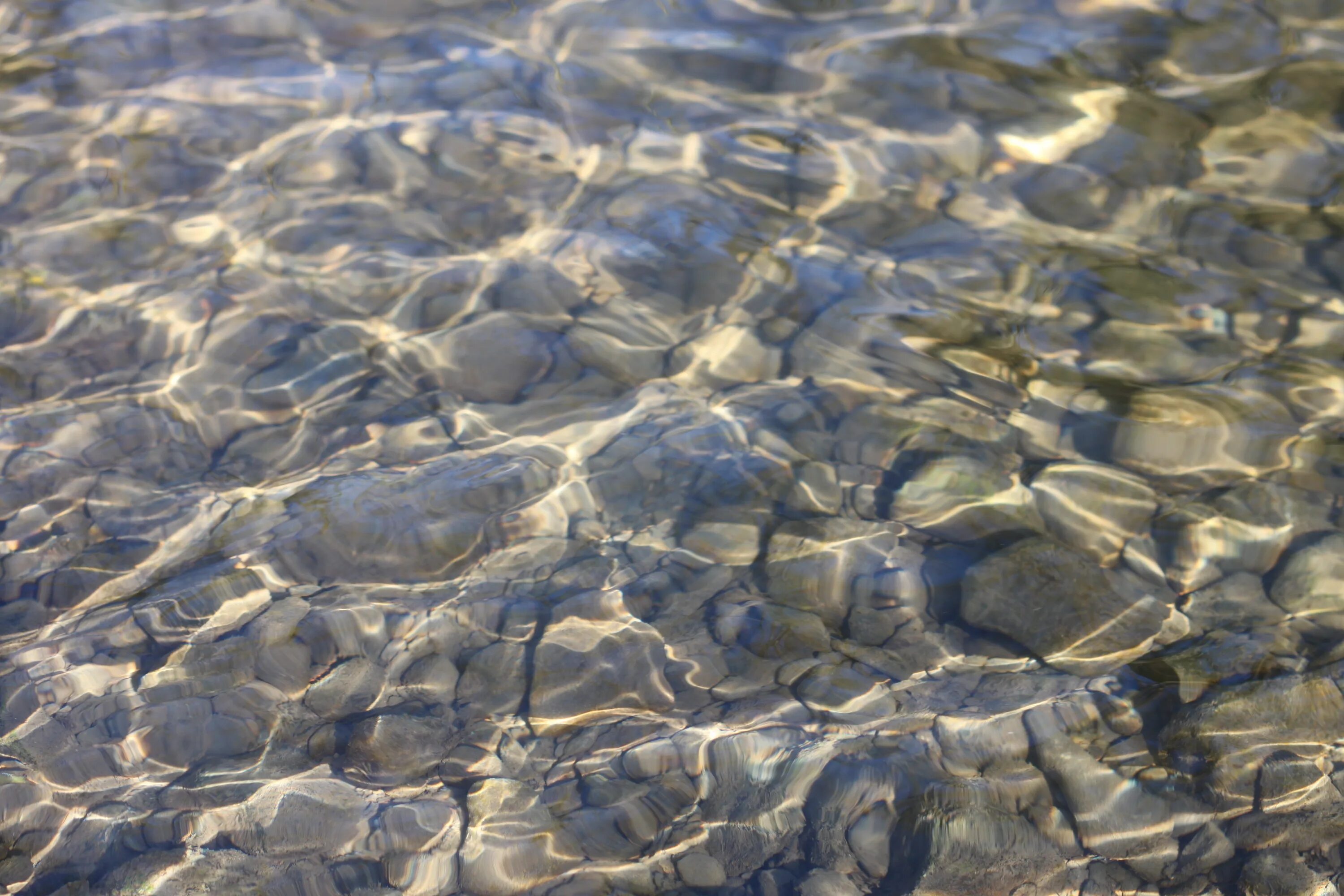 В прозрачной воде снуют шустрые. Речное дно. Прозрачная вода. Прозрачная вода галька. Каменное дно реки.