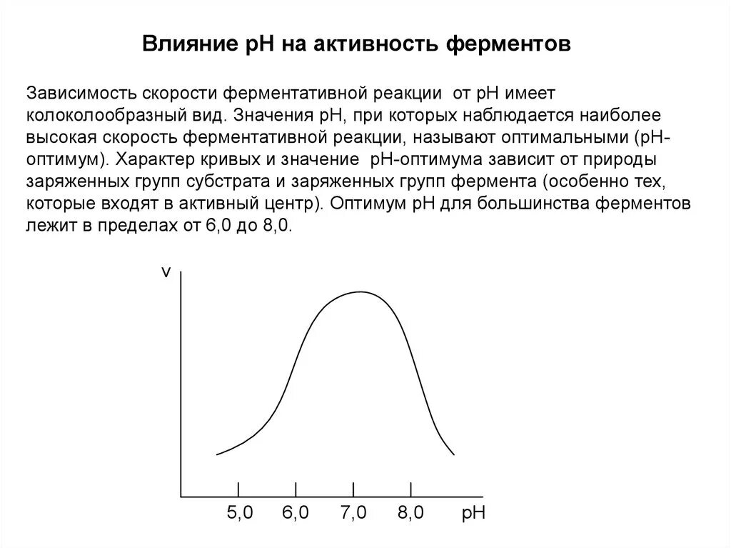 Зависимость активности ферментов от концентрации субстрата. Влияние температуры на активность ферментов опыт. График зависимости активности ферментов от концентрации субстрата. Влияние на активность ферментов. Активность ферментов снижается при