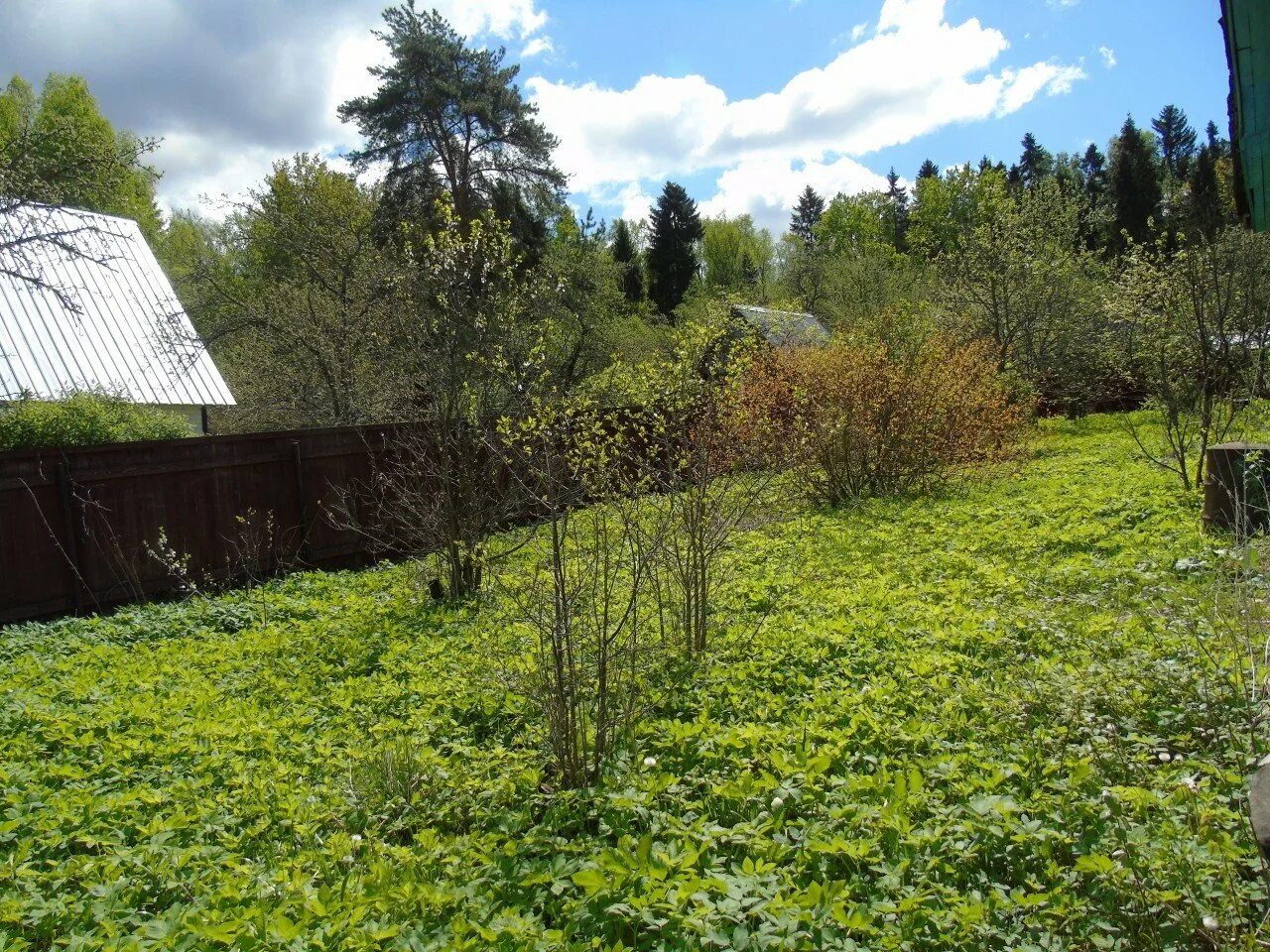 Купить земельные участки в дмитровском. Иванцево Дмитровский район. Деревня Иванцево Талдомский район. СНТ Родник 2 Дмитровский район. СНТ Иванцево.