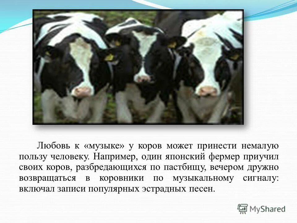 информация о песке. поговорки со смыслом. общаться с ребенком карм. мелкие людишки цитаты. берегите друг друга любите.