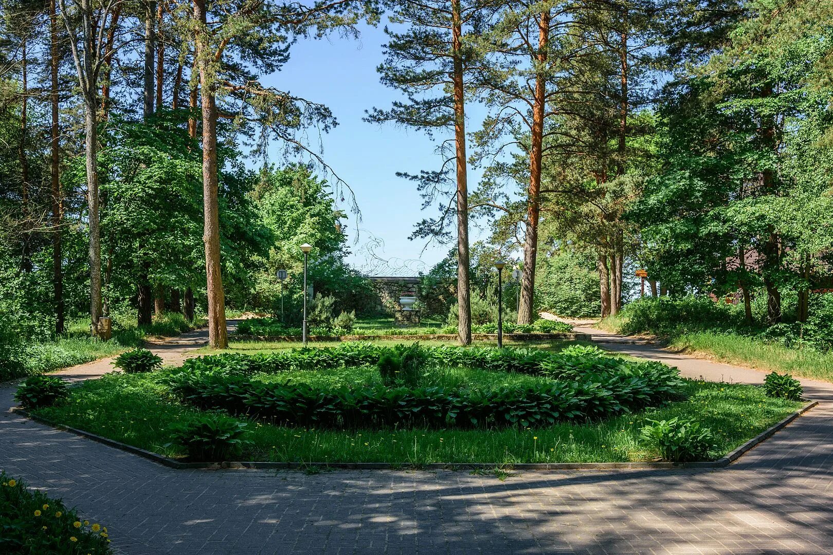 Санаторий Сестрорецкий курорт. Санаторий Сестрорецкий курорт в Ленинградской области. Санаторий Сестрорецкий разлив. Сестрорецкий курорт территория.