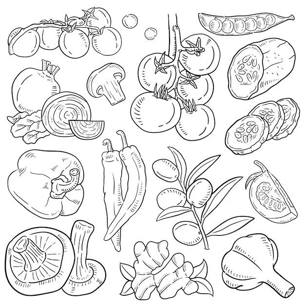 Векторные фрукты овощи. Овощи фрукты вектор. Векторные картинки овощи. Овощи и фрукты иллюстрации. Овощи черное белые
