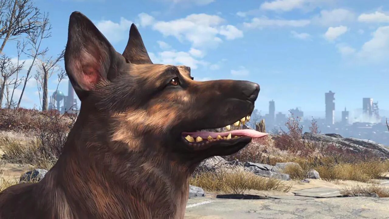 Как играть пес 1. Fallout 4 псина. Догмит Fallout 4. Dogmeat Fallout 4. Фоллаут 4 собака.