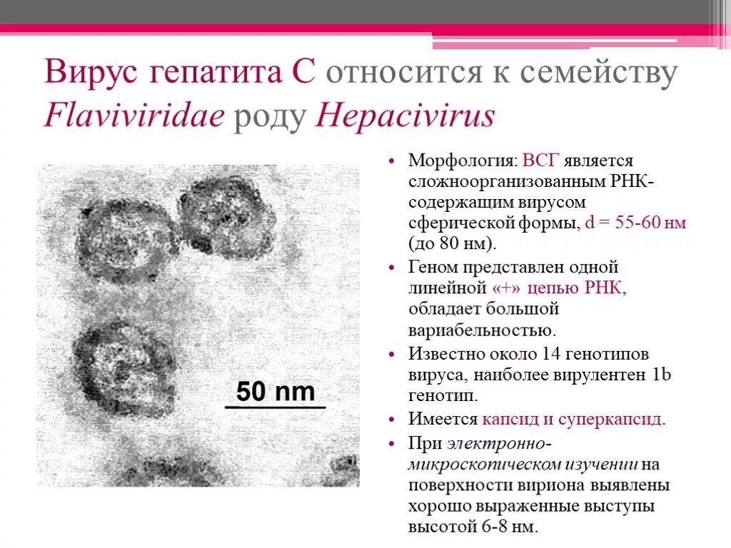 Гепатит ответы. Морфология вируса гепатита c. Морфология вируса гепатита а. Вирусный гепатит морфология. Вирус гепатита а относится к семейству.