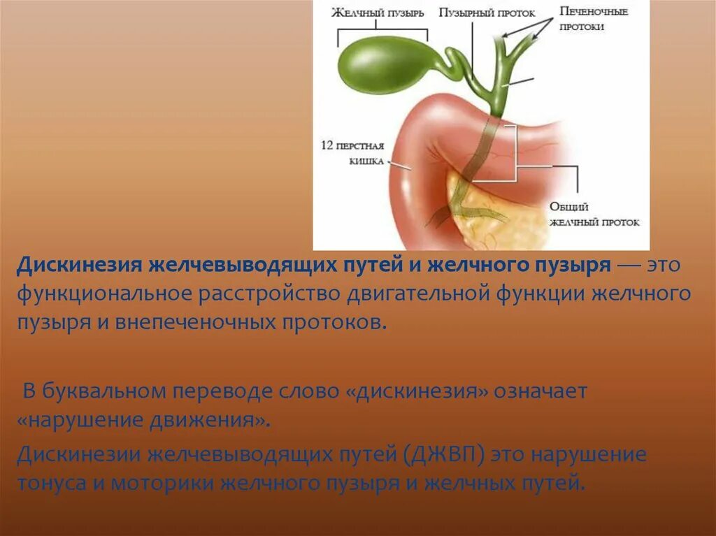 Способ желчного пузыря