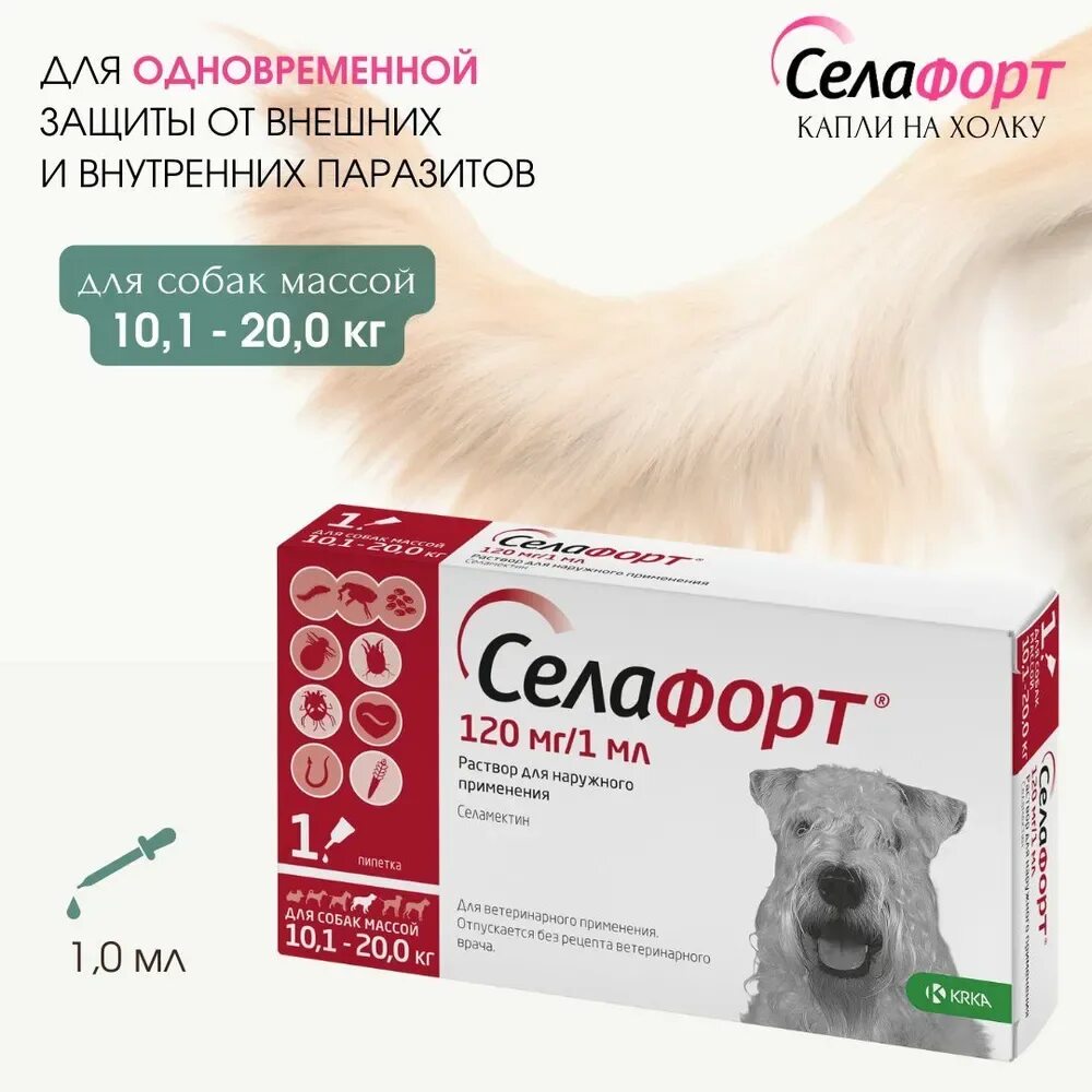 Селафорт 10-20. Капли на холку для собак селафорт. Капли от блох селафорт. Селафорт для котят. Селафорт для собак купить