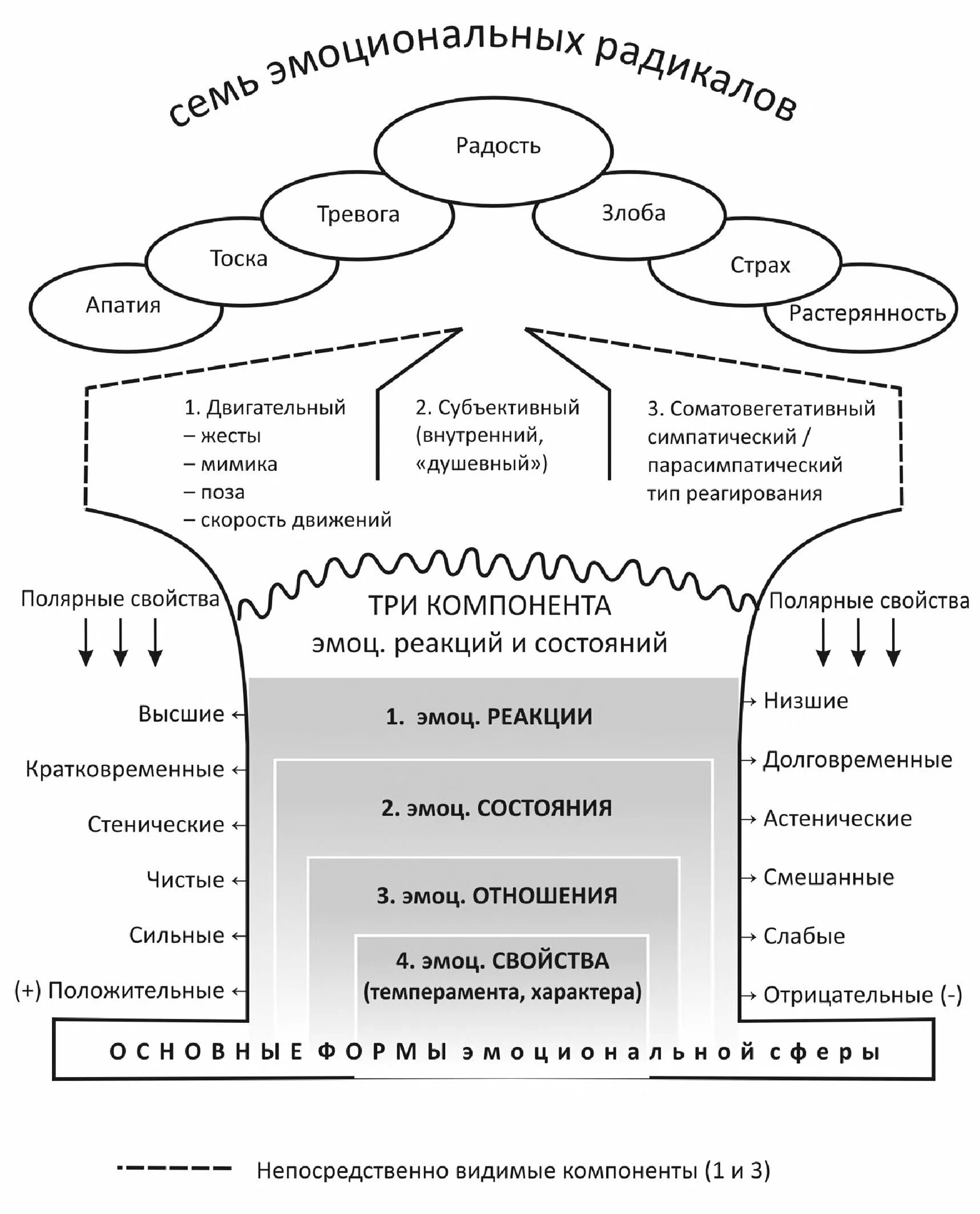 Развитие волевой сфер личности. Структура эмоционально-волевой сферы личности. Структура эмоционально личностной сферы. Эмоциональная сфера личности схема. Нарушения эмоциональной сферы схема.