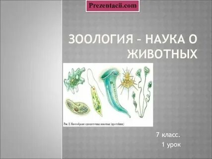 Науки о животных презентация