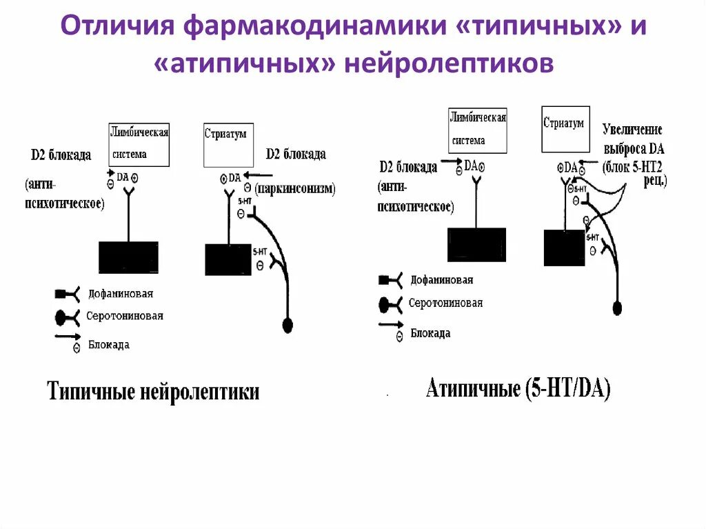 Как слезть с нейролептиков. Типичные и атипичные нейролептики. Механизм действия типичных нейролептиков. Типичные и атипичные нейролептики отличия. Механизм действия нейролептиков фармакология.