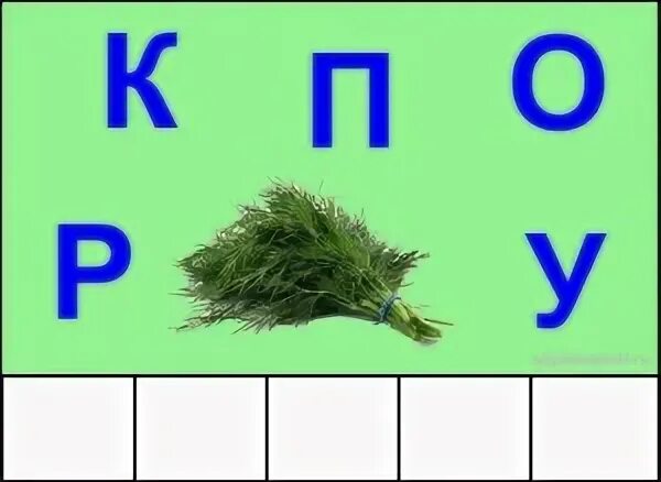 основа пять букв