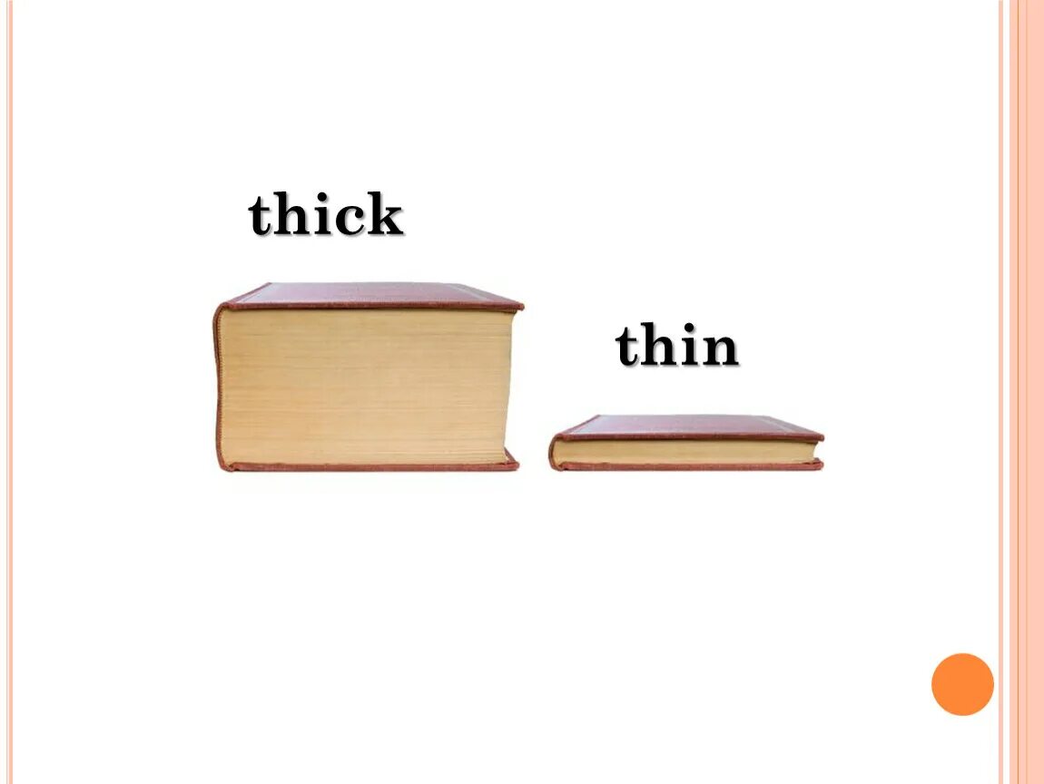 Thick thin. Thick thin картинки для английского. Thick thin Flashcard. Thin thick for Kids. Thin adjective