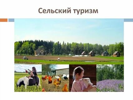 Сельский туризм новости