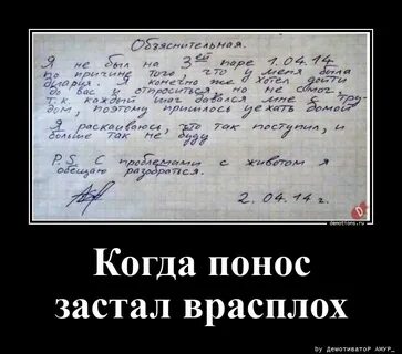 Когда будут поносить вас
