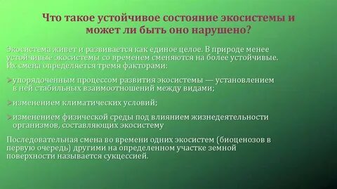 Экосистема устойчива во времени без вмешательства человека