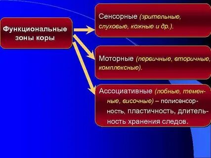 Обобщите и представьте