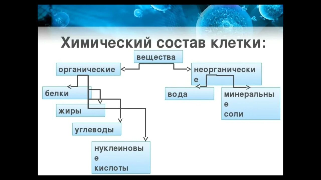 Организация вещества клетки. Химические вещества клетки 5 класс биология. Химический состав клетки 9 класс. Состав клетки 9 класс. Схема органические и неорганические вещества клетки.