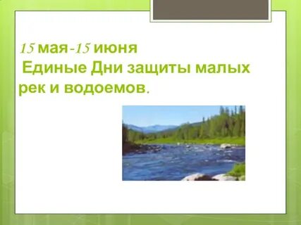 Впр по берегам лесных малых рек