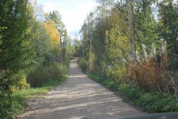 Погода в орехово ленинградской на неделю. Посёлок Орехово Ленинградской области. Орехово поселок Приозерский район. Орехово станция поселок. Ленинградская область д.Орехово.