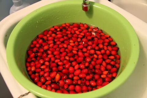 Шиповник в кастрюле
