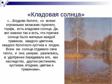 Кладовая солнца описание