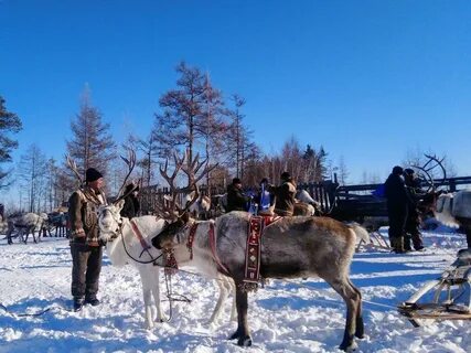 Эвенки забайкальского края