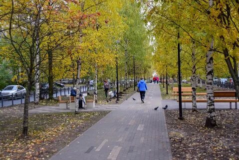 Березовая аллея петрозаводск